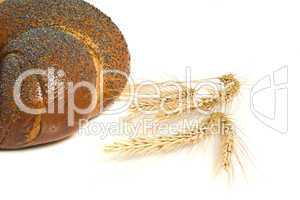 Sweet bagel with poppy seeds and wheat corn