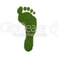 Green Grass Footprint