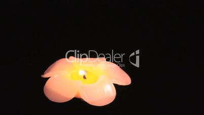 Floating Frangipani Candle