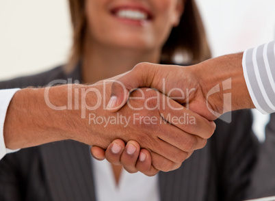 Close-up of successful businessmen closing a deal