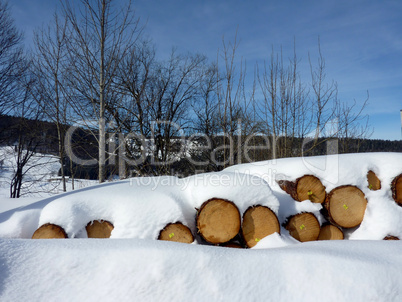 Wood logs by winter