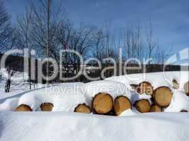 Wood logs by winter