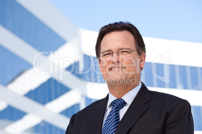 Handsome Businessman Smiling