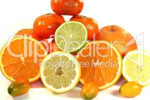 Citrusfrüchte