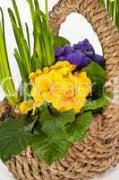 Korb mit Blumen, basket with flowers
