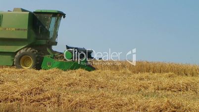 Combine Harvesting Wheat 06