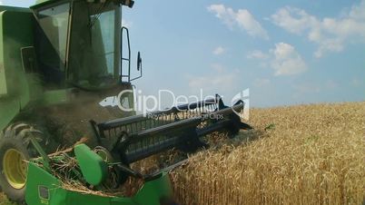 Combine Harvesting Wheat 05