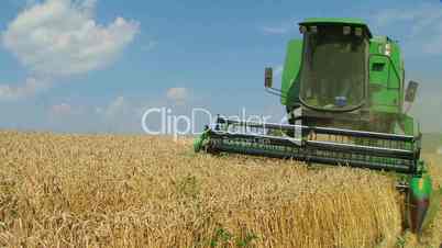 Combine Harvesting Wheat 03