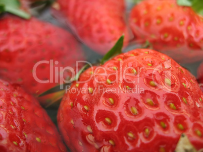 Strawberries