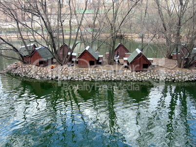 Duck houses near the pond
