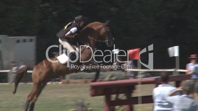 Rider falls from horse at jump