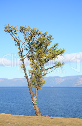 Baikal lake