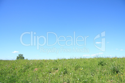 Green Field and Blue Sky