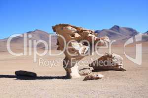 Arbol de Piedra ((Stone Tree)