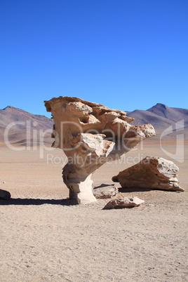 Arbol de Piedra ((Stone Tree)