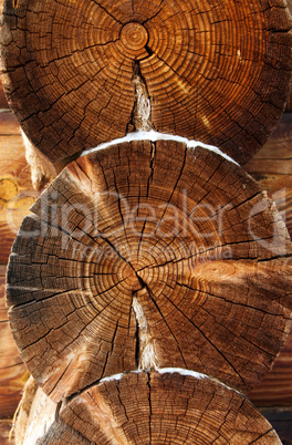Beautiful logs