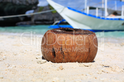 Coconut on the beach