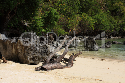 Tropical beach