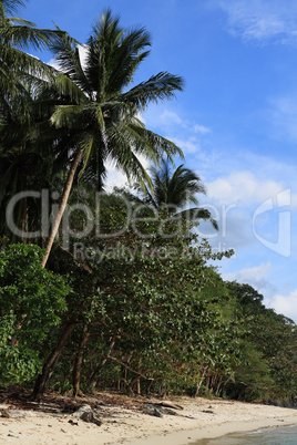 Tropical beach