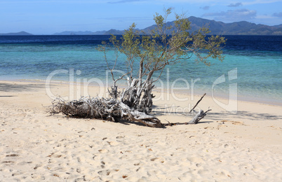 Tropical beach