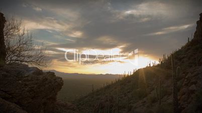 (1164) Twilight Arizona Desert Sunset Clouds with Cactus Saguaros