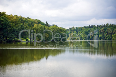 Forest reflection