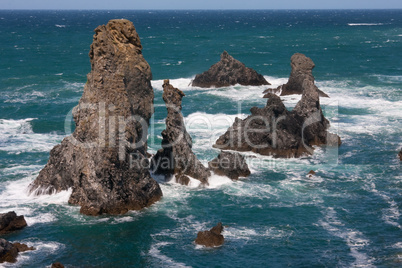 aiguilles de port coton 204