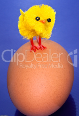 Chick on an egg