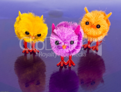 3 colourful spring chicks