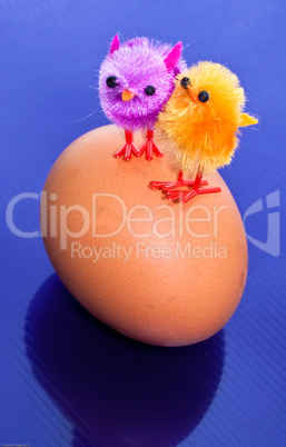 Chicks on an egg