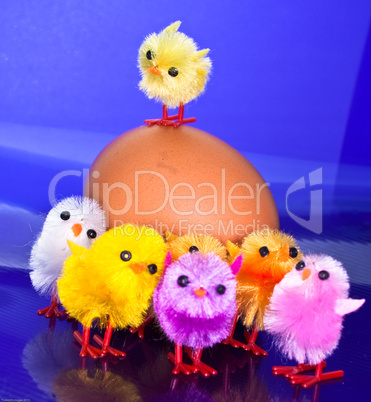 Chicks on top and in front of an egg