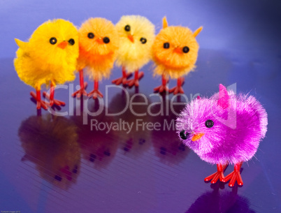 colourful spring chicks