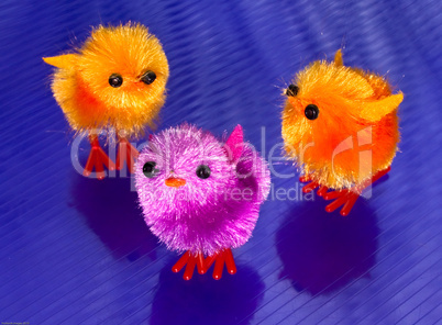 3 colourful spring chicks