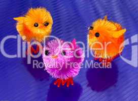 3 colourful spring chicks