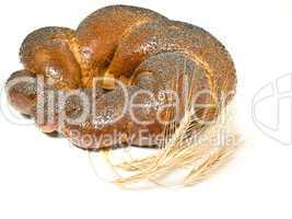 Wheat corn and Tasty bagel