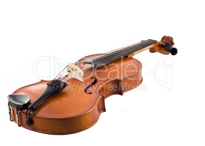 Beautiful violin isolated