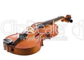 Beautiful violin isolated