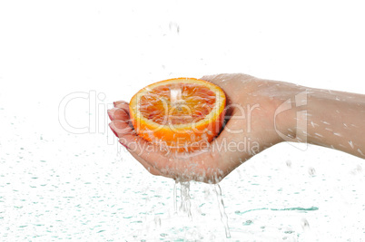 orange in palms