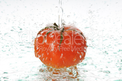 tomato in water