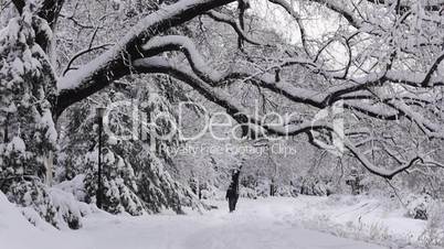 NY Central Park under snowfall