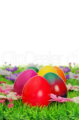 Ostereier auf Blumenwiese - easter eggs on flower meadow 40