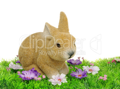 Osterhase auf Blumenwiese - easter bunny on flower meadow 01