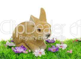 Osterhase auf Blumenwiese - easter bunny on flower meadow 01