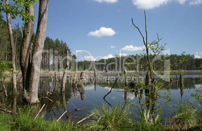 Mühlensee