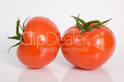 tomatoes