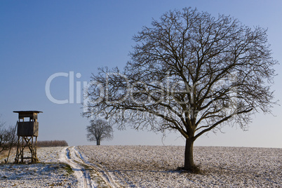 Winterlandschaft