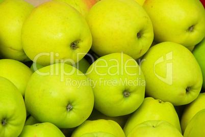 Apfel - apple 23