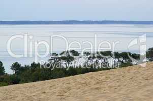 Dune du Pyla 10