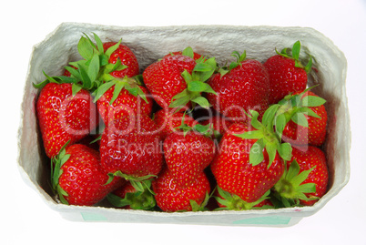 Erdbeere - strawberry 1
