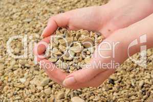 Hand mit Steinen - hand with stones 03